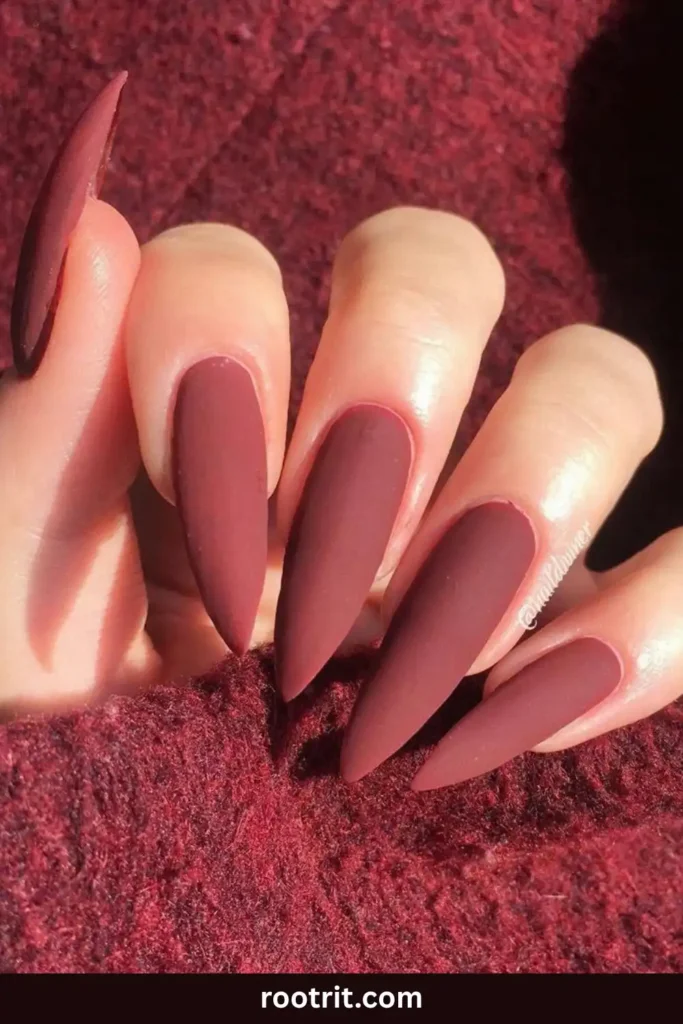 Matte Dark Red Nails