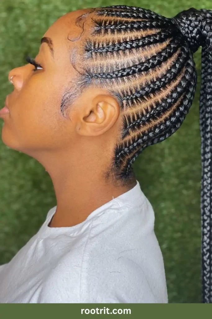 Feed-In Braids